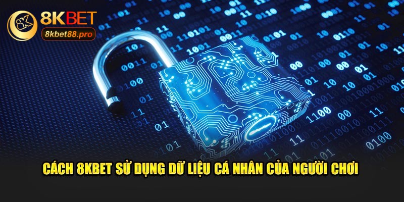 Cách 8KBET sử dụng dữ liệu cá nhân của thành viên Cách 8KBET sử dụng dữ liệu cá nhân của thành viên